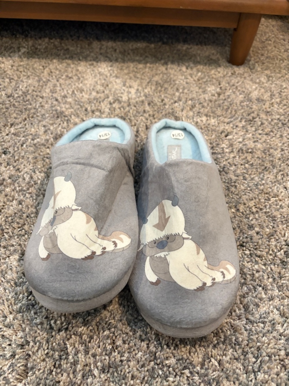 Grey Plush Slippers with Appa Graphic